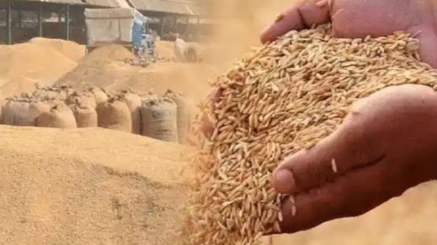 Farmer registration for paddy procurement begins in Rewa.