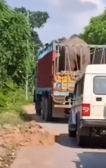 After the death of female elephant in Mauganj, second elephant also rescued