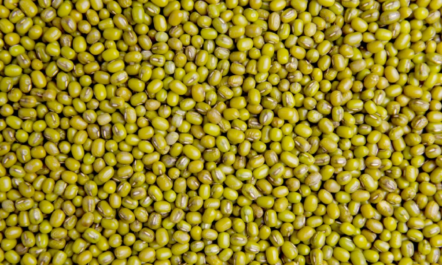 moong