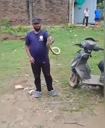 8-foot-long rat snake found inside a scooter in Rewa's Pushpraj Nagar.
