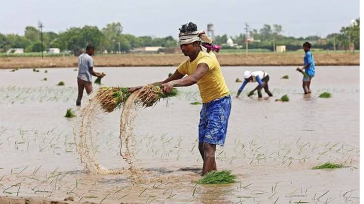 Rain in UP Tense Farmer